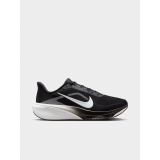 Nike Air Zoom Pegasus 42 Wide Men